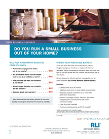 home business insurance artist consumer brochure
