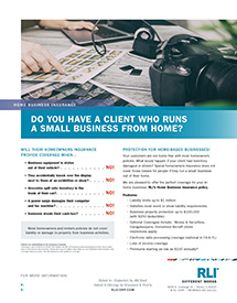 home business insurance photographer agent brochure